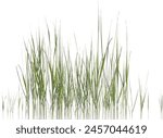 Side view of wild grass