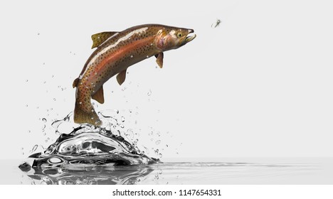 Sideview Of A Trout Fish With Flyfishing Lure. Fish Chasing Attractive Bait. White Background And Water Splash 3d Rendering