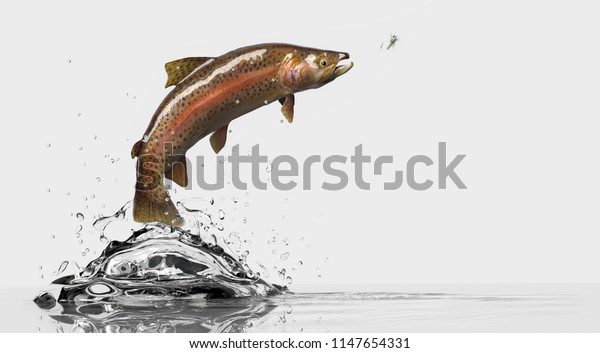 釣りルアーを持つマス魚の側面 釣り餌を追う魚 白い背景と水スプラッシュ3dレンダリング のイラスト素材