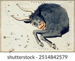 Sidney Hall’s (?-1831) astronomical chart illustration of the Taurus. 