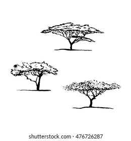 Silhouette Of Acacia Tree. African Tree Set.