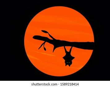 The silhouette bat hanging branch in red moon 