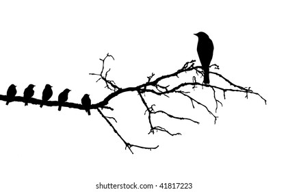 Vector Silhouette Birds On Branch Stock Vector (Royalty Free) 42669826 ...