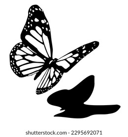 Silhouette Butterfly With Shadow Ink Drawing