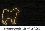 Silhouette of chou chou dog golden neon sign on dark brick wall illuminated 3d illustration, special effects, add your own text, use for ads, marketing campaign, eye catching and sweet