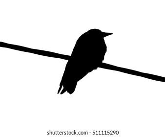 Samurai Katana Sword Raven Bird Japanese Stock Vector (royalty Free 