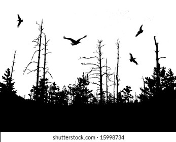 Silhouette Dry Tree Wood Isolated On Stock Illustration 15998734 ...