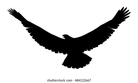 3,066 Sea eagle silhouette Images, Stock Photos & Vectors | Shutterstock