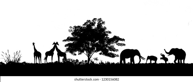 Silhouette Elephants Giraffes Family Isolated On Stock Illustration ...