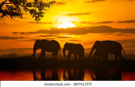 23,489 Sunset Elephants Images, Stock Photos & Vectors | Shutterstock