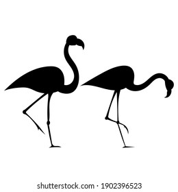 silhouette of a flamingo bird drawing on a white background