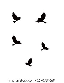 Silhouette Flying Birds Stock Illustration 1170784669 