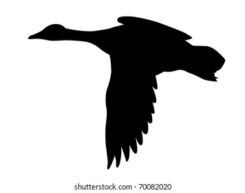 Silhouette Flying Ducks On White Background