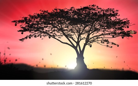 大樹陽光 のイラスト素材 画像 ベクター画像 Shutterstock