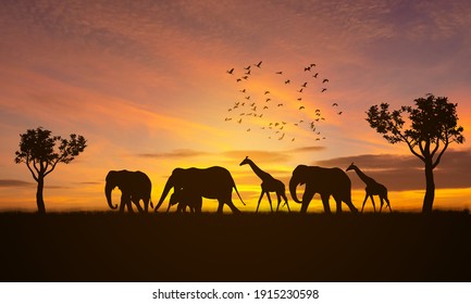 Silhouette Giraffe And Elephant At Safari With Sunset Background, Silhouette Animal, Silhouette Elephant, 