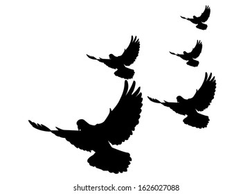 Silhouette Birds Sunset Vector Stock Vector (Royalty Free) 155344712