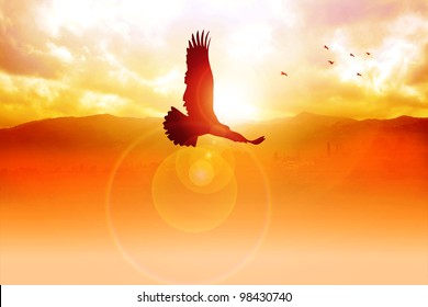 Silhouette illustration of an eagle flying on sunrise