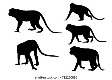 Silhouette image of monkeys on white background.