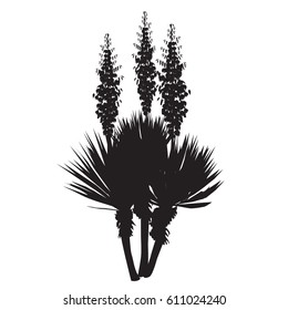 1,391 Yucca Plant Silhouette Images, Stock Photos & Vectors | Shutterstock