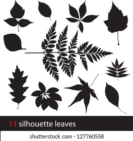 Silhouette Leaves