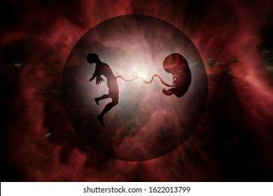 Silhouette Of A Man And A Human Embryo Connected By An Umbilical Cord In A Bio Spheres Travelling In Outer Space For The Sci-fi Concept Of Space Hibernation. Elements Of This Image Furnished By NASA.