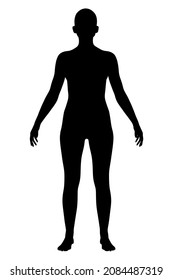 Silhouette of a naked girl isolated on a white background. Front view. 3D illustration