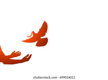 Silhouette Of One Hand Desire To Dove Fly On  With Sun Flare Effect At Sunset Time On White Background.