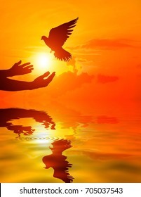 Silhouette Of One Hand Desire To Dove Fly And Water Reflection On Sunset Time