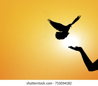 Silhouette Of One Hand Desire To Dove Fly On  Blurry Sunset Time