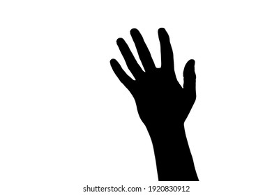 Silhouette of an open hand on a white background. 