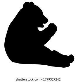 Silhouette of the Panda on a white background