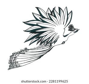 A silhouette peacock and fluffy fluttering tail   wings in the shape the sun  Delicate black   white illustration for the World Migratory Bird Day  Isolated image for creative design 