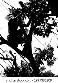 Silhouette of person pruning tree
