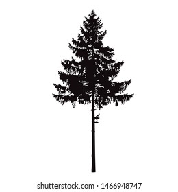 Tree Silhouette Pine Vector Fir Tattoo Stock Vector (Royalty Free ...