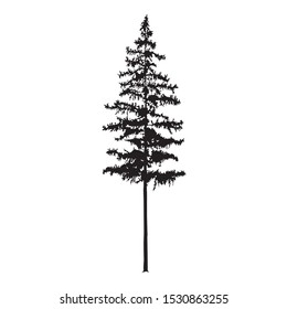 Silhouette Tall Skinny Pine Tree Hand Stock Illustration 1892867281 ...