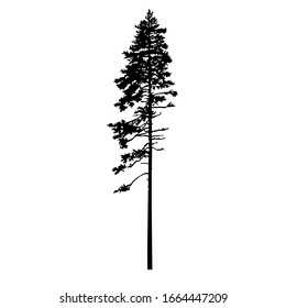 Silhouette Pine Tree Hand Made Stock Illustration 1664447209 | Shutterstock