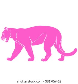 Silhouette Of Pink Panther