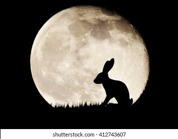 Silhouette Rabbit On Full Moon Background