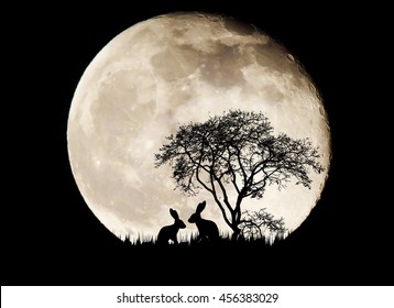 Silhouette Rabbit On Full Moon Background