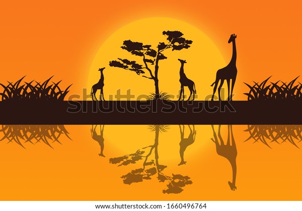 美しい日差しの背景にキリン3体のシルエットを映し出す自然の風景 子ども用の壁紙イラスト背景 のイラスト素材