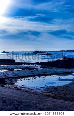 Silhouette of the rocky coast of Roscoff in Brittany in blue tones. Digitally filtered photo painting, color saturated with details flattened and simplified