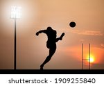 Silhouette of a rugby player scoring a dropkick goal under a stadium floodlight. 