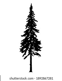 Pine Trees Silhouette Images Stock Photos Vectors Shutterstock