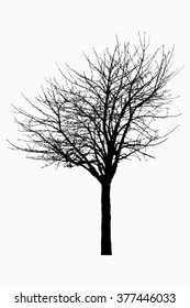 Silhouette Tree Bare Branches Vector Stock Vector (Royalty Free) 377446027