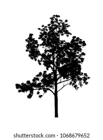 Tree Silhouette Isolated On White Background Stock Vector (Royalty Free ...