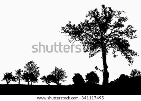 Similar – Image, Stock Photo maverick Tree Heathland