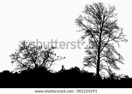 Similar – Image, Stock Photo maverick Tree Heathland