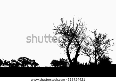 Similar – Image, Stock Photo maverick Tree Heathland