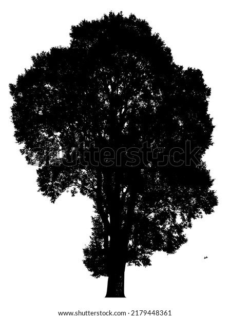 Silhouette Tree Isolated White Background Clipping Stock Illustration ...