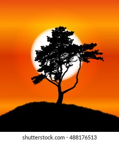 Silhouette of Tree on Sunset Background.  Illustration 